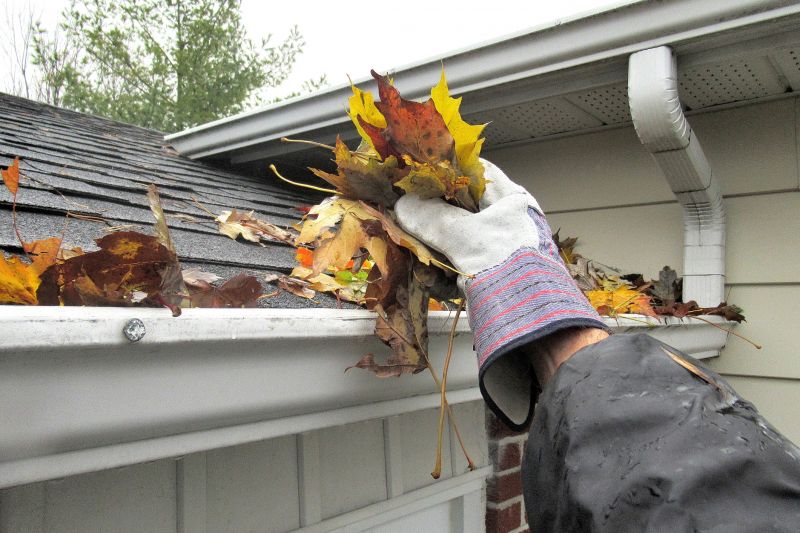 Clearing Leaves from Gutters