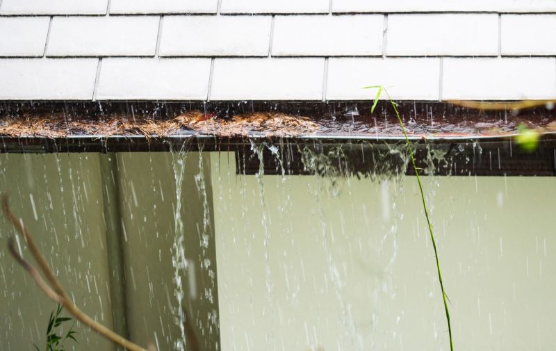 Water Flow in Clear Gutters